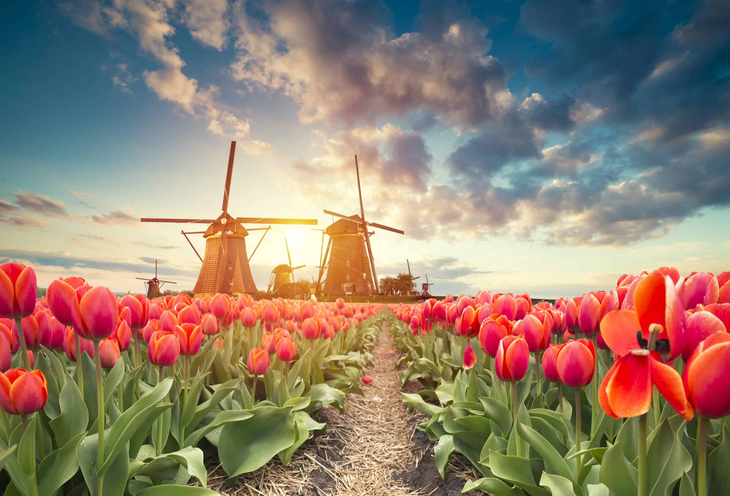 molens-kinderdijk-zuid-holland-scaled-3766504888