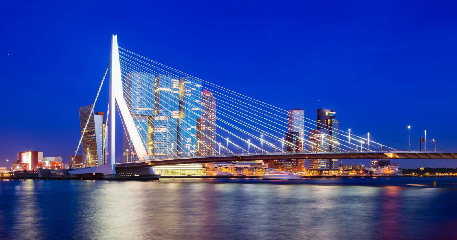 rotterdam-hd-295823170