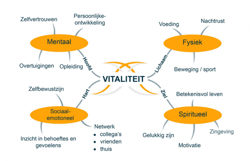 Vitaliteit-e1654770539387-4075513221 (1)